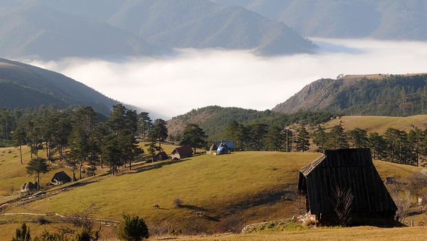 Stublo, Zlatibor