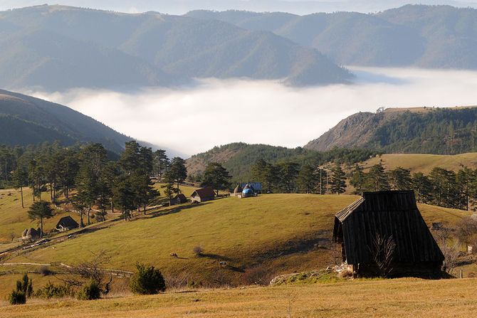 Stublo, Zlatibor