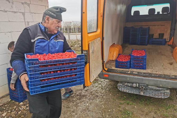 maline, eurosadira, dragan milijanović