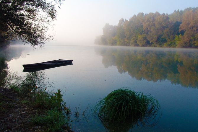 Vojvodina, Tisa