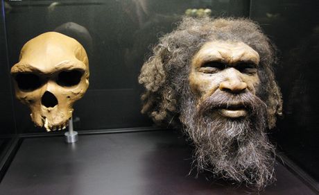 Glava Homo Rhodesiensis