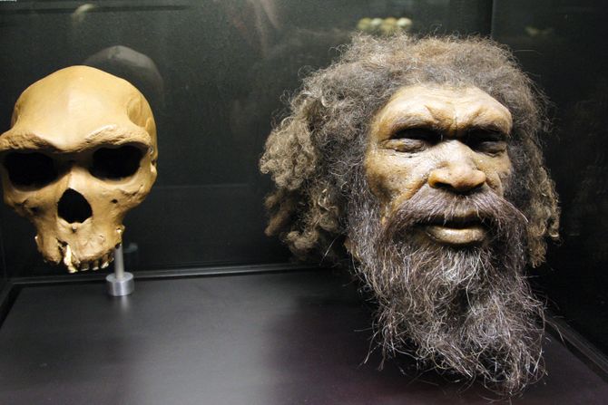 Glava Homo Rhodesiensis