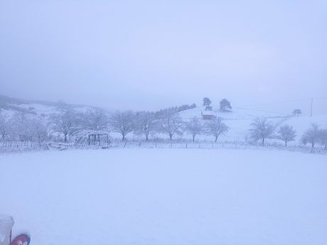 Sneg Zapadna Srbija