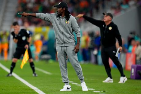 Holandija i Senegal u međusobnom duelu na Mundijalu