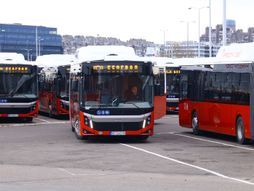 Autobusi GSP autobus GSP neutralna autobus neutralna gradski prevoz javni prevoz pogon Novi Beograd
