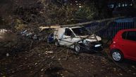 Palo drvo na parkirane automobile u Žarkovu: Oštećeno više vozila od siline udara