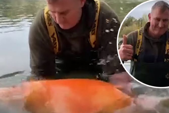 Pecaroš Endi Haket Andy Hackett zlatna ribica Kerot Carrot rekord Pecaroš Endi Haket Andy Hackett zlatna ribica Kerot Carrot rekord