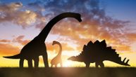 Možda jedno od najvažnijih otkrića u istoriji paleontologije! Pronađeno savršeno očuvano јaјe dinosaurusa
