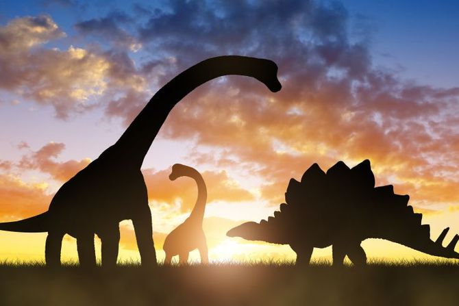 Dinosaurusi Dinosaurusi