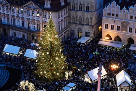 Prag, Božić, Jelka, Paljenje božićne jelke na Starogradskom trgu u Prag