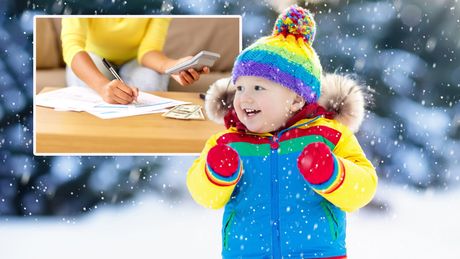 Rad od kuće  pare finansije žena kuća posao digitron , zima dete se igra sneg