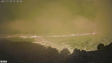 Erupcija vulkana na Havajima, Mauna Loa