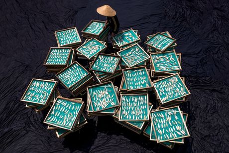Radnik suši sardine Zapadna Java