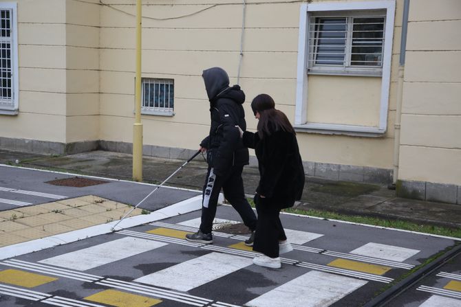 Škola za slepe i slabovide, Zemun