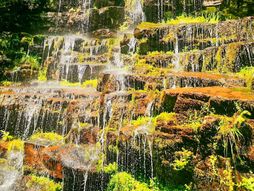 Stara planina, hotel