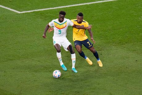 Grupa A u kojoj se nalaze Holandija, Ekvador, Senegal i Katar Grupa A u kojoj se nalaze Holandija, Ekvador, Senegal i Katar