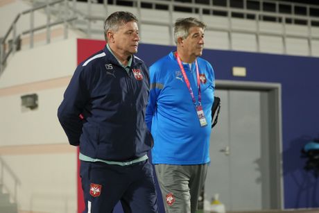 Trening, Dragan Stojković Piksi, Fudbalska reprezentacija Srbije
