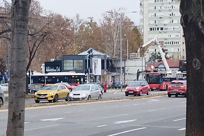 Košnica Novi Beograd