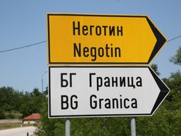 Ana i Predrag Rajković, Negotin