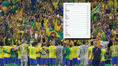 Brazil navijaci anketa