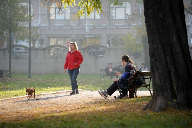 Studentski park, studenjak