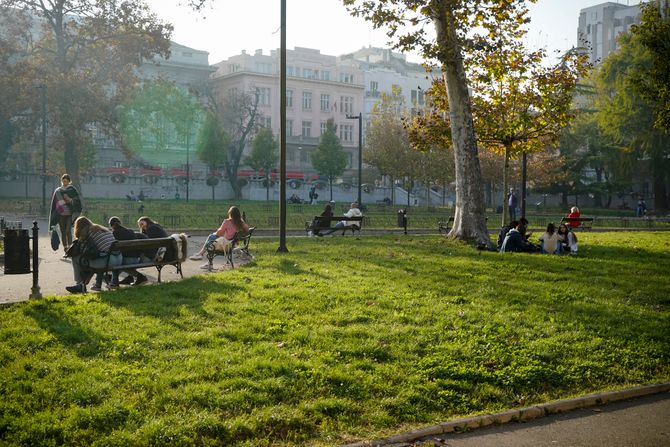 Studentski park, studenjak