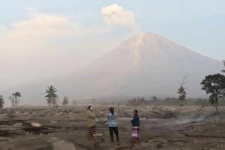 Erupcija vulkan Semeru Java Indonezija