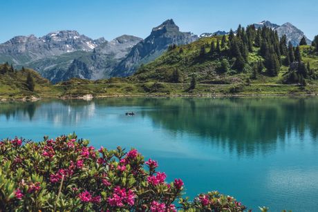 Švajcarska jezera