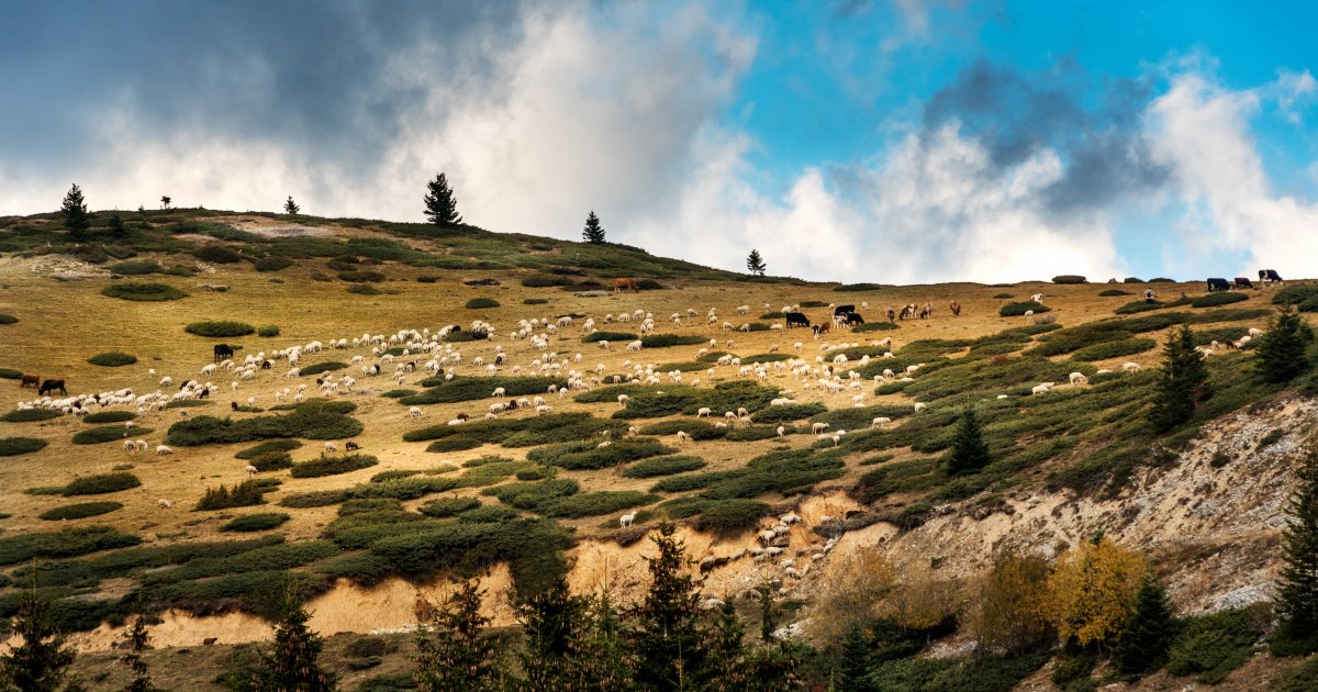 Ova planina je ubedljivo najlepša kad padne sneg: Veruje se da je baš po tome i dobila naziv