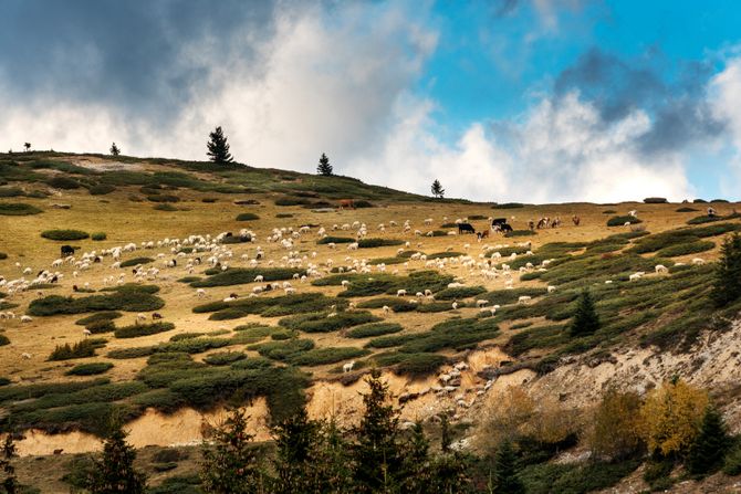 Nacionalni park Šar planina, Srbija