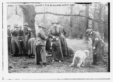 Mejbel Stobart, Ženski konvojski korpus za bolesne i ranjene Mejbel Stobart, Ženski konvojski korpus za bolesne i ranjene