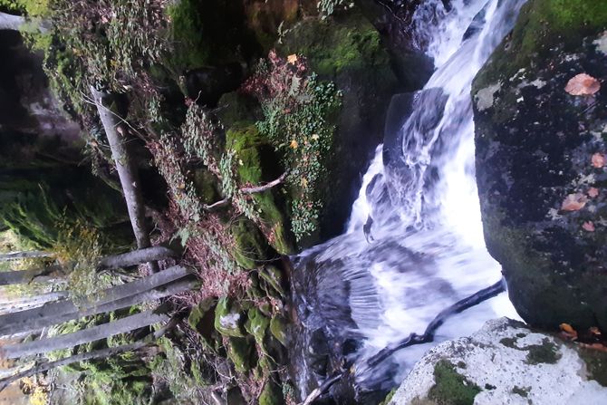 Stara planina