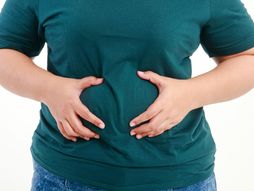 gojaznost, debljina, stomak, salo