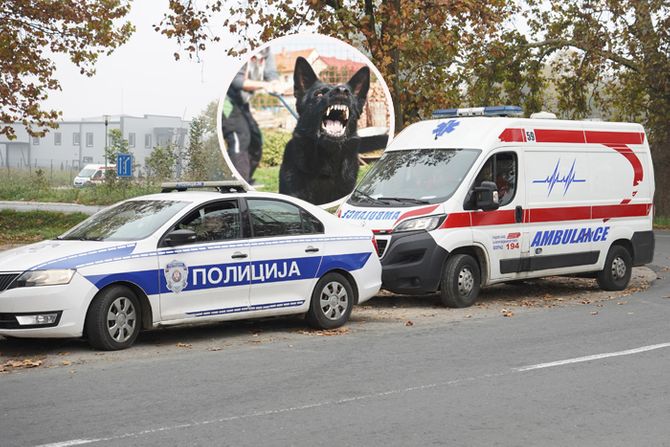 Policija, hitna pomoć pas Policija, hitna pomoć pas