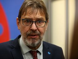 Tomislav Žigmanov, Nacionalni savet romske nacionalne manjine