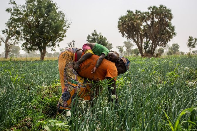 Nigerija, borbe, Boko Haram