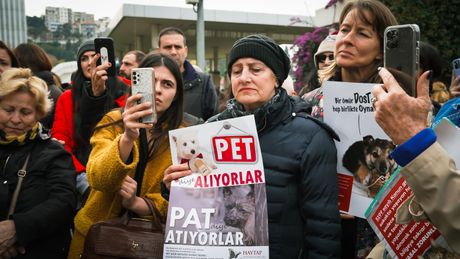 Protesti aktivista i ljubitelja životinja, Izmir, Turska