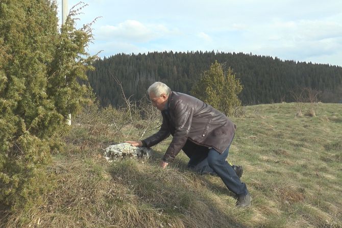 Zlatar, marjan rogović