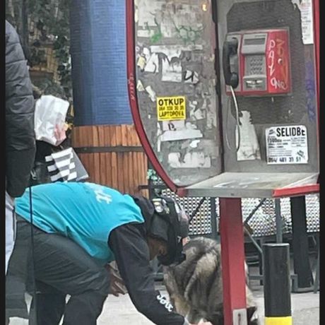 Dostavljač hrani psa