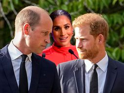 Princ Hari, Vilijam, Megan Megan