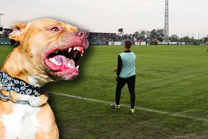 Pitbul Kolubara teren fudbal napad Lazarevac