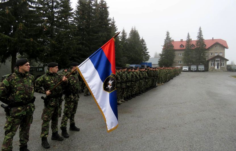 SAJ obeležava 44 godine postojanja - Telegraf.rs
