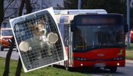 Ovo su uslovi za prevoz životinja u beogradskim busevima: Ako se oglušite, vozač staje i pritiska panik taster