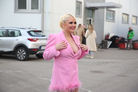 Pink novogodišnji program