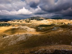 Sinjajevina, Crna Gora