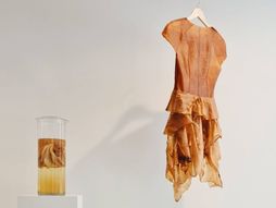 Biodizajn, biodizajnerka Maja Halilović