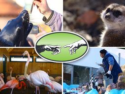 Beogradski zoološki vrt Beo Zoo vrt