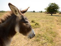 Fotografije koje su obeležile 2022 godinu