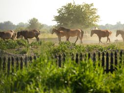 Fotografije koje su obeležile 2022 godinu