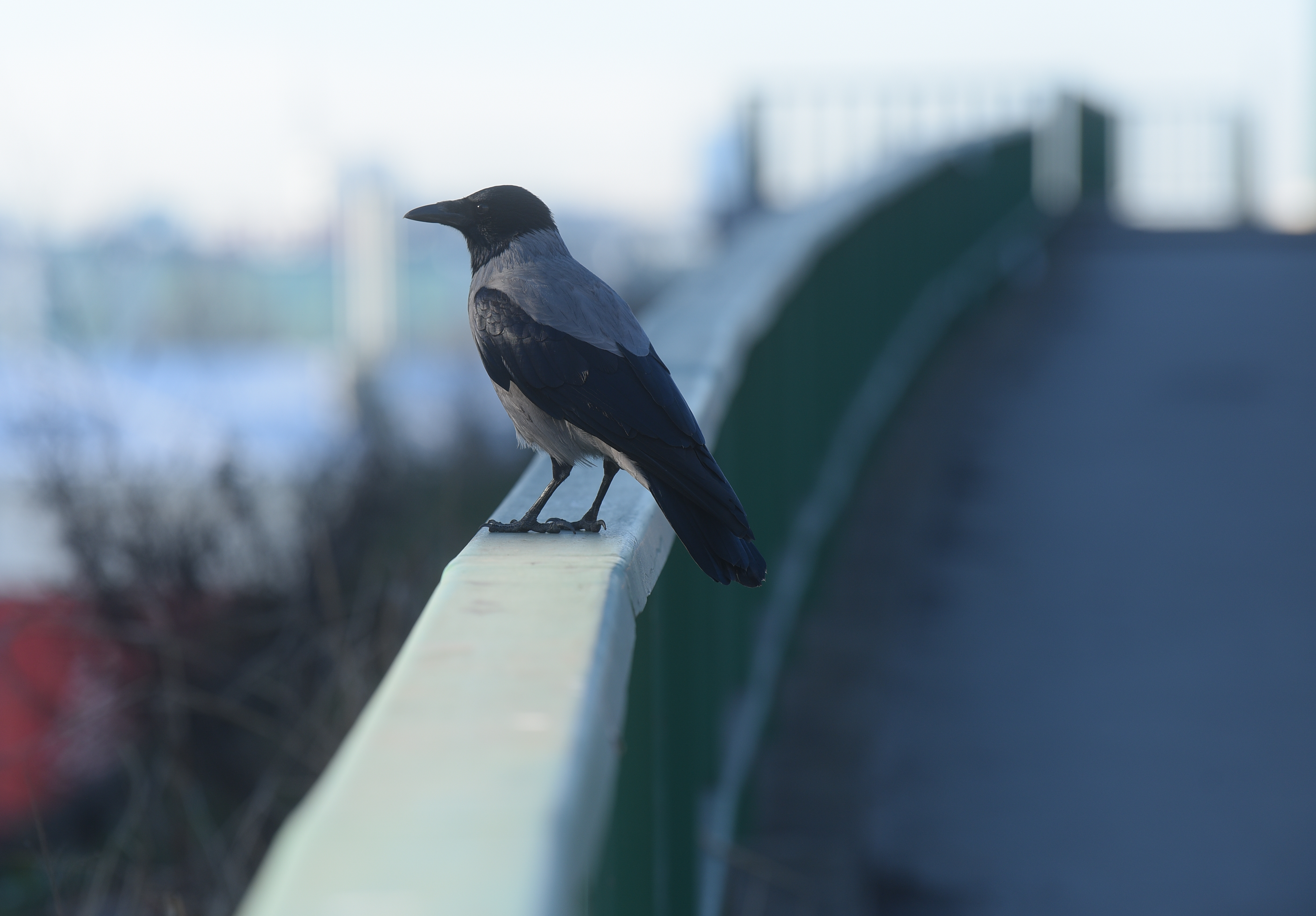 Dan gustog vazduha, usporene energije i naglašene osetljivosti tela: Bioprognoza za 11. decembar